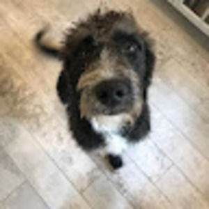 Meet your Posher, Heidi-jo